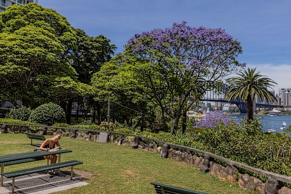 O governo quer construir mais habitações perto das estações ferroviárias; Os críticos dizem que os blocos ofuscarão parques e jardins. 