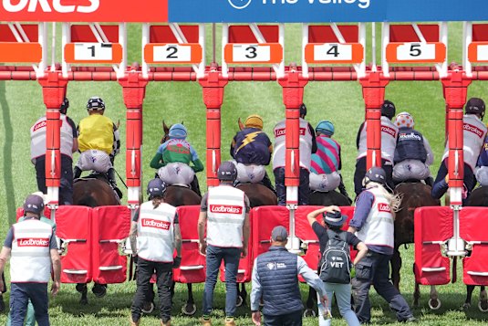 Vets are placed at the starter’s stall for every race.