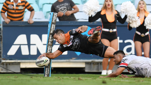 Vindicated: Corey Thompson twists around to plant the ball for the Tigers' match-winning try.
