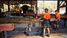 Workers process a log at the Dwellingup Sawmill. 