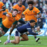 EDINBURGH, SCOTLAND - NOVEMBER 24: Sione Tuipulotu of Scotland scores his team’s first try whilst under pressure from Carlo Tizzano of Australia during the Autumn Nations Series 2024 match between Scotland and Australia at Scottish Gas Murrayfield on November 24, 2024 in Edinburgh, Scotland. (Photo by David Rogers/Getty Images)