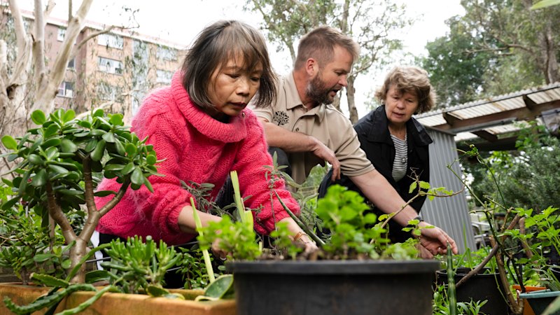 ‘I’d feel like I couldn’t survive’: For these Sydneysiders, having a garden is a primal need