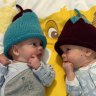Global study discovers how identical twins occur, now to find out why