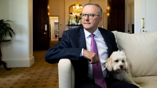 Anthony Albanese, with constant companion Toto the cavoodle, nominates resetting Australia’s position internationally as his proudest achievement this year.