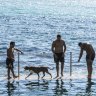 Sydney is bracing for its hottest day in March for the year on Sunday.