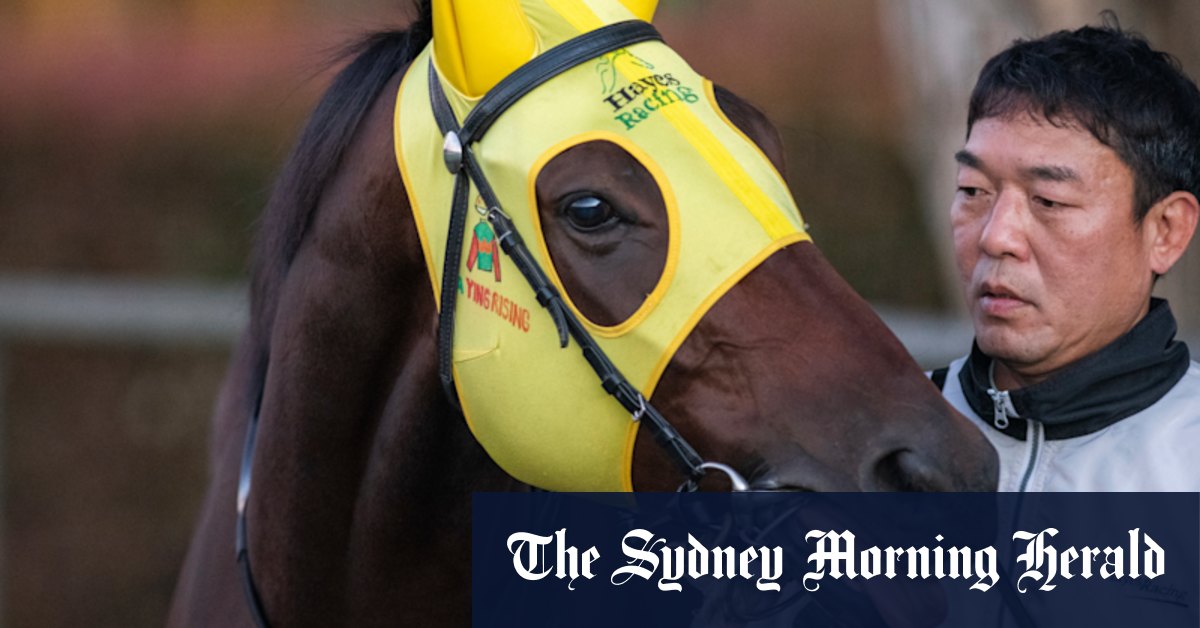 Ka Ying Rising trainer David Hayes slams ‘fake news’ after social media rumours