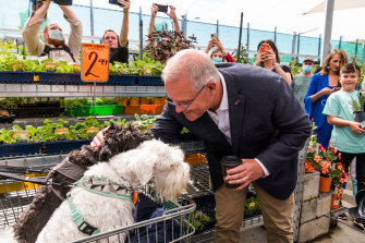 Scott Morrison campaigning in Perth Bunnings on Monday.