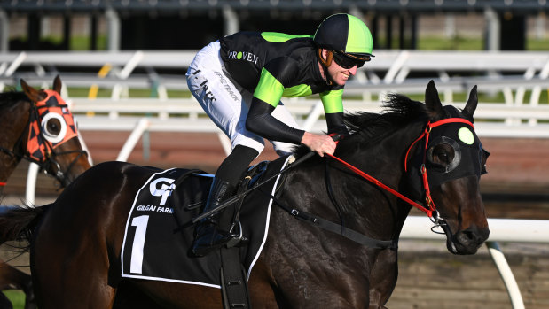 Private Eye strides away to win the Gilgai Stakes at Flemington.