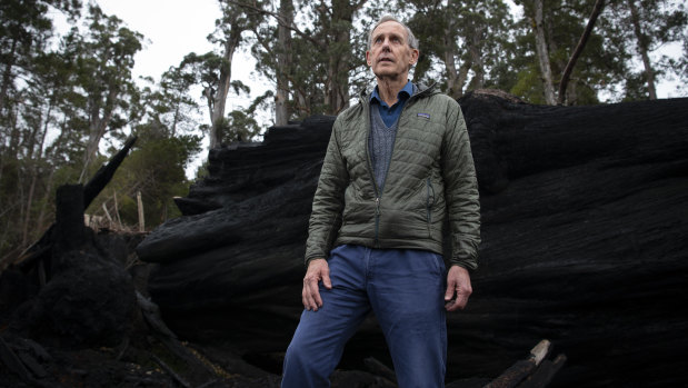 Bob Brown inspects burnt trees that had a swift parrot habitat. 