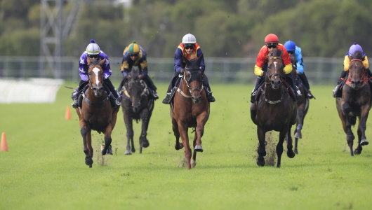 NSW’s feature meeting will be held at Scone on Monday.