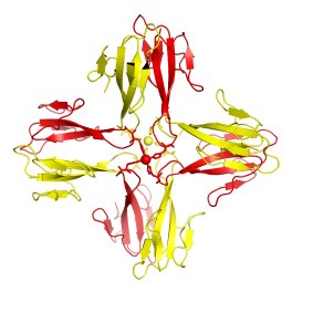 The eight-molecule toxin can target many more protein receptors than a single molecule, making it effective against a range of animals the snake would prey on or defend itself against