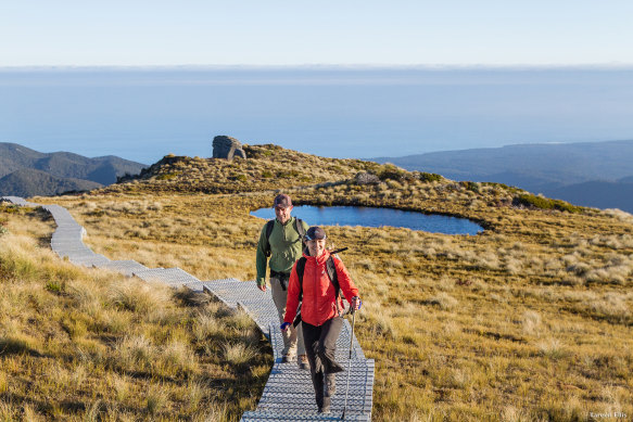 New Zealand’s newest “Great Walk”… Hump Ridge Track in Southern Fiordland.