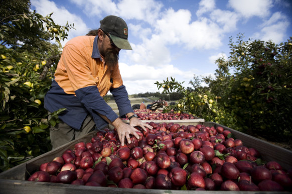 Specialist agriculture-related visas and working holidaymakers have moved back into employer-supplied accommodation.