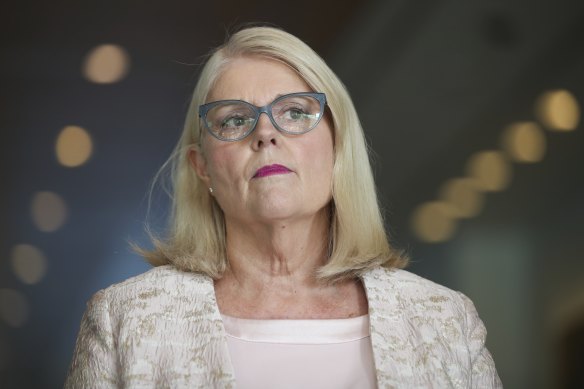 Home Affairs Minister Karen Andrews says some Australians are trying to use violence to achieve political, religious and ideological goals.