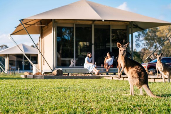 Glamping tents on the doorstep of the country’s only Everglades.