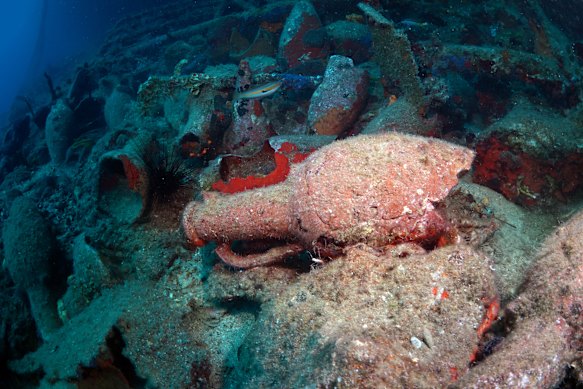 A view of the artefacts uncovered during the archaeological expedition. 