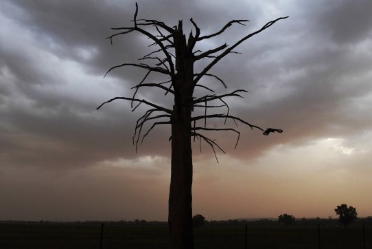 Dust storms sweep topsoil from drought-parched farmlands in the Murray-Darling Basin.