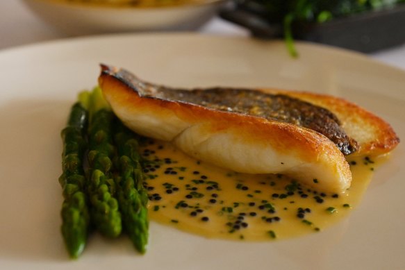 Fish of the day with asparagus and smoked cream at Otto.