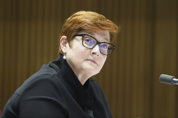 Not mincing words: Foreign Minister Marise Payne.