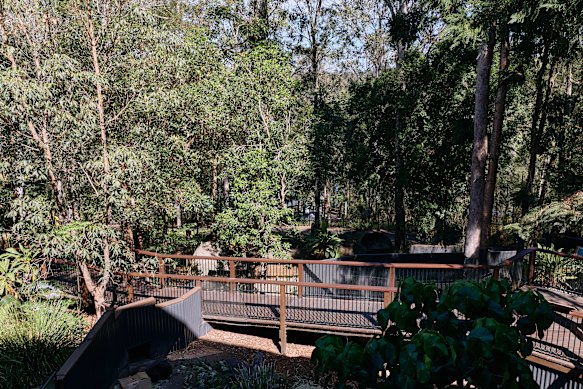Bushwalking here is a fabulous stress reliever.