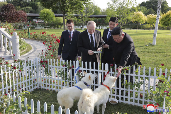 North Korean leader Kim Jong Un, right, presents a pair of Pungsan dogs to Russia’s President Vladimir Putin.