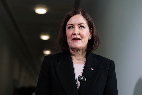 Liberal senator Sarah Henderson said she had reservations about some of the reforms.