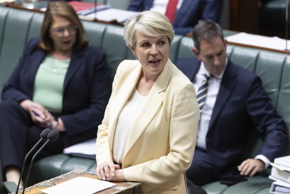 Environment Minister Tanya Plibersek was asked about the Senate inquiry into the Qatar Airways decision this morning. 