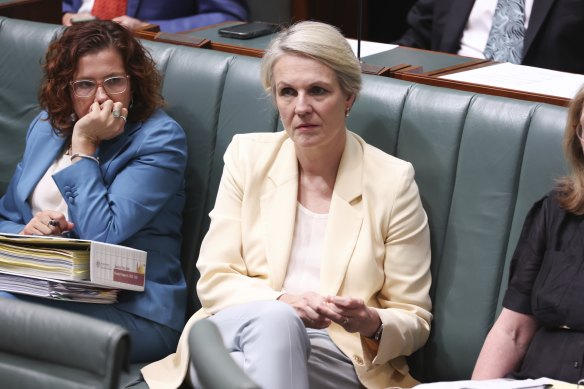 Environment Minister Tanya Plibersek during question time on Tuesday.