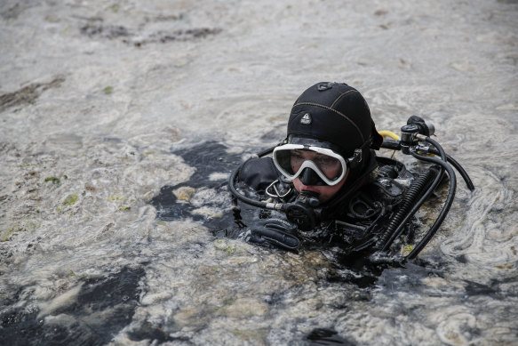 A diver surveys the sea as experts work to clear a mass of “sea snot” off Istanbul.