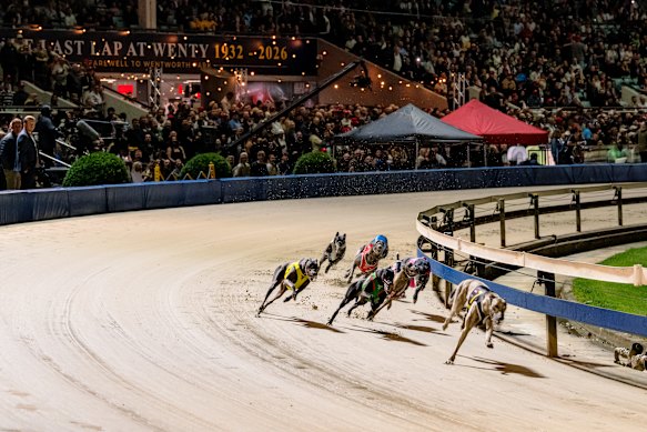 The last race at Wentworth Park Greyhounds as been run.