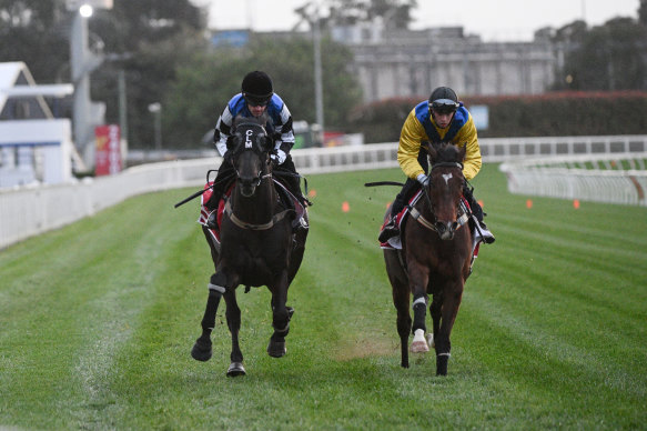 Michael Dee on Right You Are (right) at Caulfield last month.