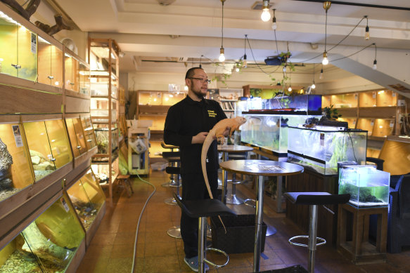 Kohei Kimura, the owner of Funny Creatures Forest, which displays mainly reptiles but also insects in Kyoto, Japan, on March 13, 2023. 