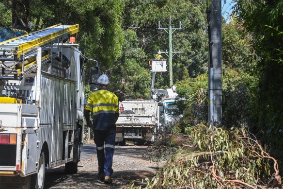 Workers trying to restore power in the Dandenong Ranges. 