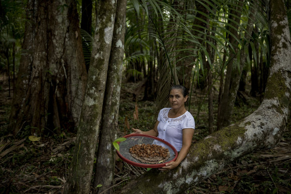 A seed collector trained by Re.green, a forest restoration company, in Maracaçumé, Brazil.