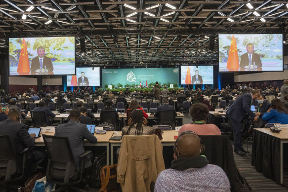 Chinese President Xi Jinping makes a video address at the opening of the high level segment at the COP15 biodiversity conference last Thursday.