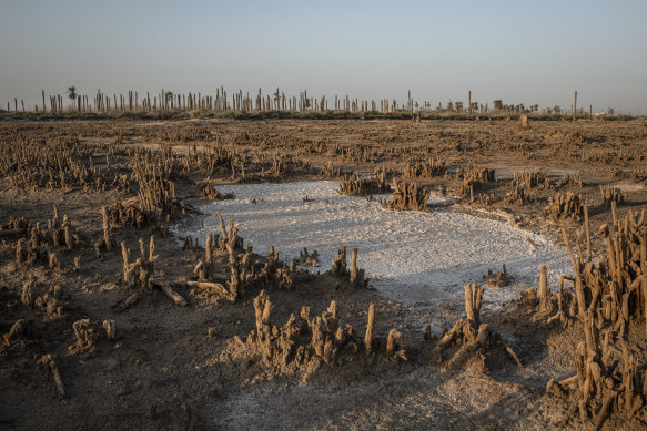 Salt crystals accumulated on former agricultural fields, in al-Bahar, a south of Basra, Iraq. Persistent drought has battered Iraq over the past three years.