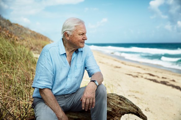 Sir David Attenborough in filming for Blue Planet II. 