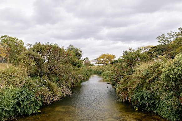 The brook half surrounds our suburb like a medieval moat. 