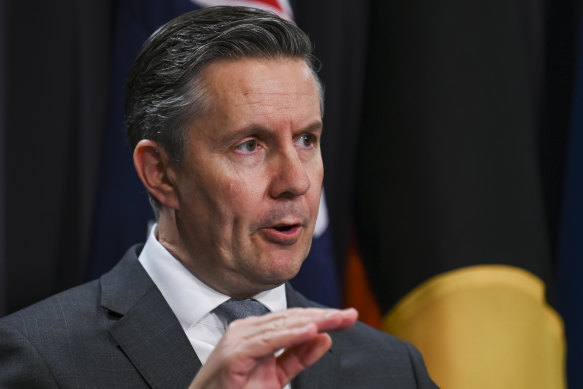 Mark Butler has said the government was looking at bulk billing and gap fees.
