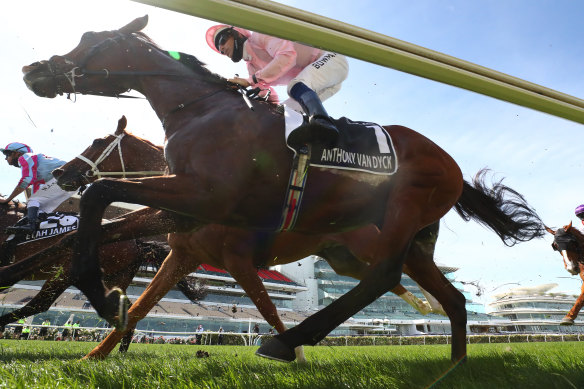 Melbourne Cup fancy Anthony Van Dyck was euthanised after breaking down during the race this month. 
