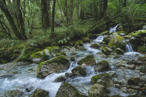 A stream flowing from the granite mountains in the Cochamó Valley, central Chile.
