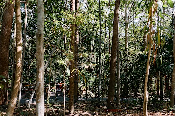 D’Aguilar National Park is, to be fair, a lovely bit of bushland.
