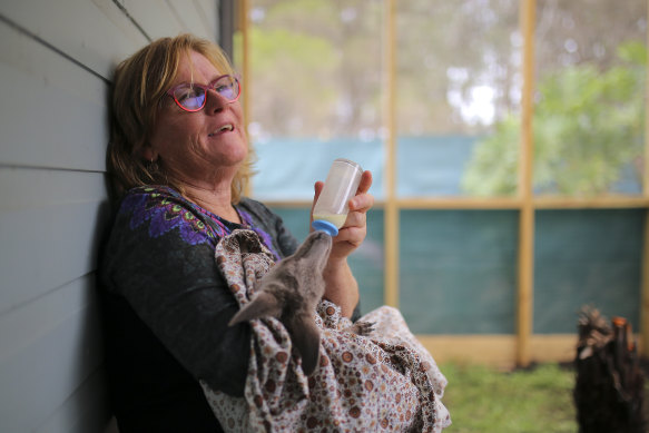 WIRES carer Julie Mills, seen here in 2020 feeding an orphaned pouch-rescued eastern grey kangaroo joey, has resigned from the organisation’s board over concerns about its direction. 