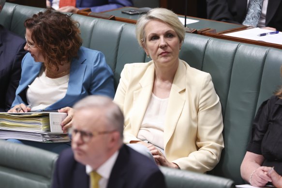 Environment Minister Tanya Plibersek’s talks were undercut by the prime minister’s intervention.