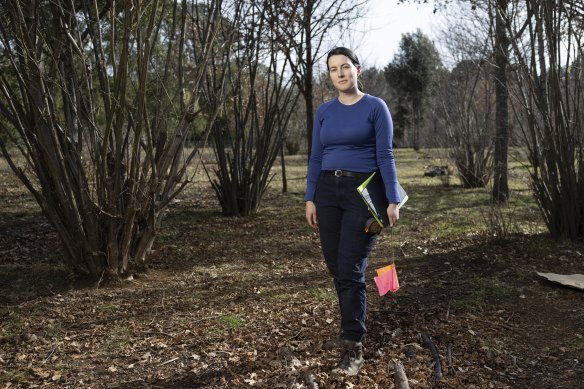 PhD student Annabel Ellis at the Terra Preta truffle farm near Braidwood in southern NSW.