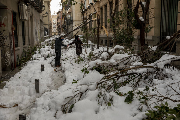 People walk along a road with fallen branches a day after the heaviest snowfall in decades in Madrid, Spain