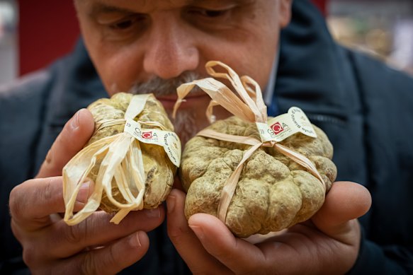 A white truffle festival is held in the region every year.