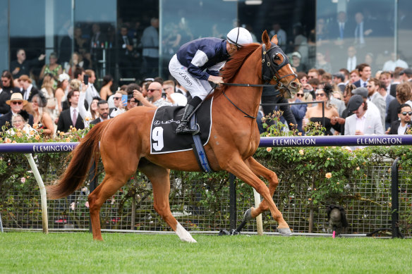 Serpentine en route to the barriers before the Lexus Archer Stakes. 