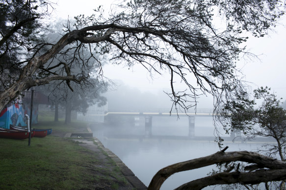 Morning fog along the Cooks River at Mackey Park in Tempe. 