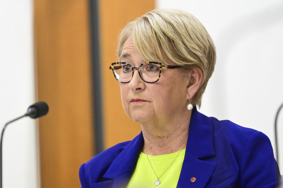 Greens senator Barbara Pocock has been one of PwC’s fiercest critics.